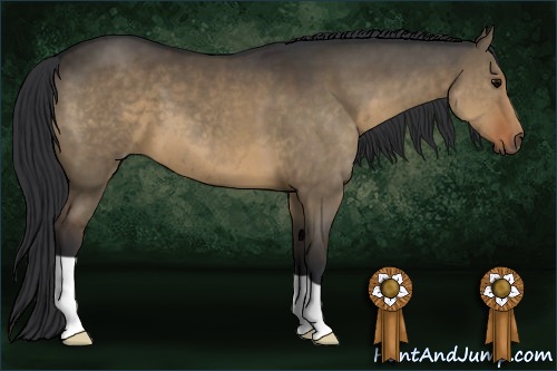 Horse Color:Brown Dun