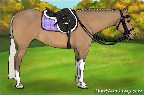 Horse Color:Silver Buckskin 