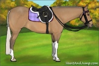 Horse Color:Silver Buckskin 