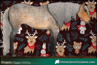 Horse Color:Silver Buckskin Roan