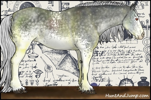 Horse Color:White Spotted Silver Black Chinchilla 