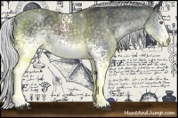 Horse Color:White Spotted Silver Black Chinchilla 