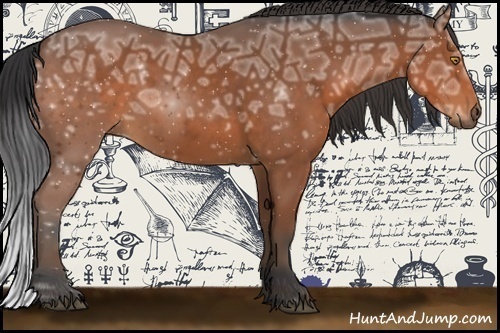 Horse Color:Bay Ice