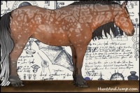 Horse Color:Bay Ice