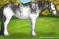Horse Color:White Spotted Black 