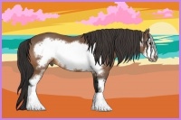 Horse Color:Buckskin Sabino Frame