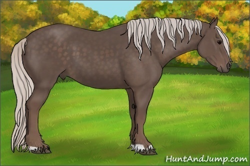 Horse Color:Silver Black 