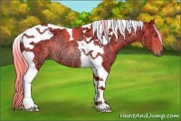 Horse Color:Watercolor Chocolate Palomino Ice Tobiano Rabicano 