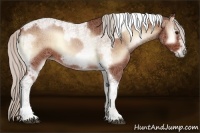 Horse Color:Silver Bay Onyx Tobiano Frame 