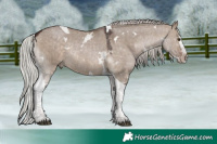 Horse Color:White Spotted Silver Brown Dun Splash Tobiano Rabicano