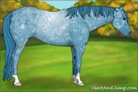 Horse Color:Watercolor Black Ice Rabicano 