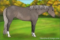 Horse Color:Silver Black 