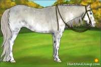 Horse Color:Silver Blue Onyx Ice Roan Splash 