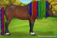 Horse Color:Painted Brown 