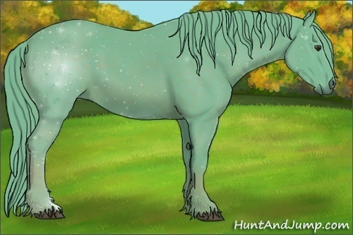 Horse Color:Watercolor Chestnut 