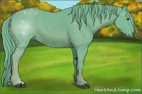 Horse Color:Watercolor Chestnut 