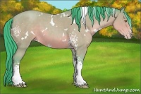 Horse Color:Watercolor White Spotted Sable Champagne 