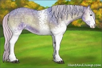 Horse Color:Watercolor White Spotted Silver Blue Onyx Ice Rabicano