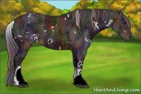 Horse Color:Nacre White Spotted Brown Ice