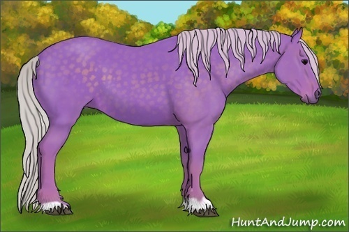 Horse Color:Watercolor Silver Black