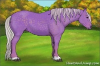 Horse Color:Watercolor Silver Black 