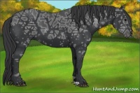 Horse Color:Black Ice 