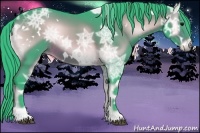 Horse Color:Watercolor White Spotted Brown Ice Onyx Rabicano 