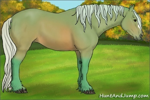 Horse Color:Watercolor Silver Brown
