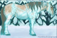 Horse Color:Thunderstruck White Spotted Grullo Ice Pearl