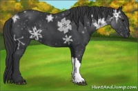 Horse Color:Black Ice 