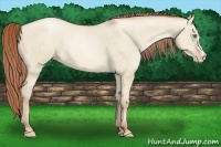 Horse Color:Smoky Grullo Pearl 