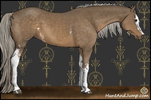 Horse Color:White Spotted Chocolate Palomino