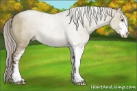 Horse Color:Liver Red Dun Roan Sabino 
