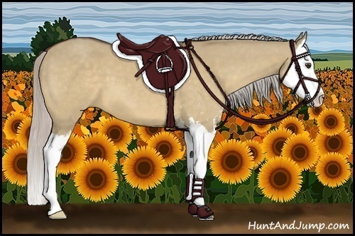 Horse Color:Silver Bay Dun Sabino Splash 