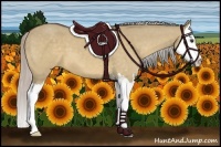 Horse Color:Silver Bay Dun Sabino Splash 