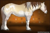 Horse Color:Red Onyx Snowcap and Red Dun Onyx