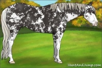 Horse Color:Liver Chestnut Sabino 