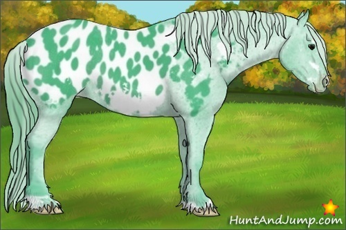 Horse Color:Watercolor Black Frame Appaloosa 