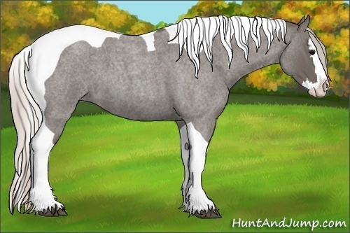 Horse Color:Silver Blue Roan Splash Tobiano
