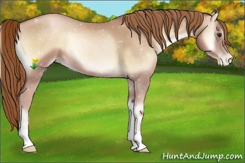 Horse Color:Red Onyx Pearl 