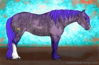 Horse Color:Watercolor Bay Ice Dun 