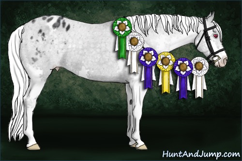 Horse Color:Silver Black Chinchilla Splash Appaloosa 