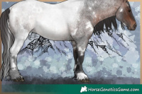 Horse Color:White Spotted Brown Roan