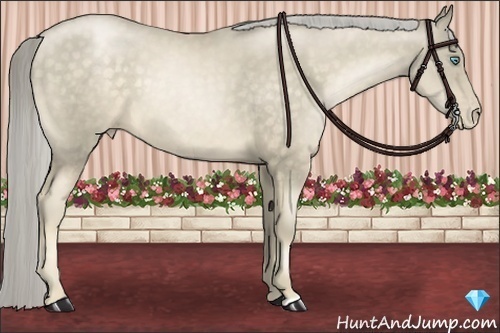 Horse Color:Chocolate Palomino Pearl 