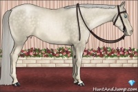Horse Color:Chocolate Palomino Pearl