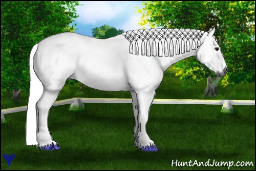 Horse Color:Gray Brown 