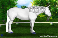 Horse Color:Gray Brown