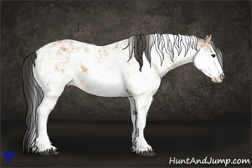 Horse Color:Buckskin Sabino 