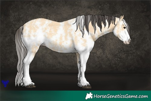 Horse Color:Buckskin Sabino 