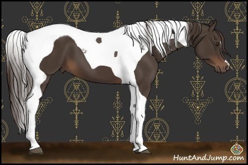 Horse Color:Liver Chestnut Tobiano 
